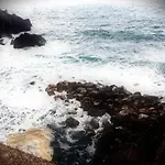 Perla Bianca Delle 5 Terre * La Spezia
